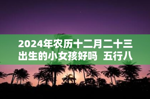 2025年农历十二月二十三出生的小女孩好吗 五行八字算命