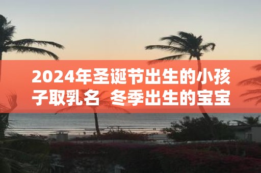 2025年圣诞节出生的小孩子取乳名 冬季出生的宝宝命运