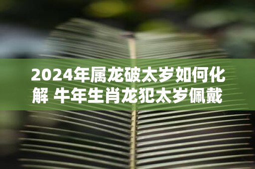 2025年属龙破太岁如何化解 牛年生肖龙犯太岁佩戴什么