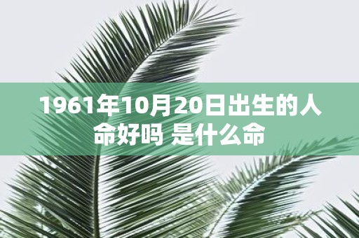 1961年10月20日出生的人命好吗 是什么命