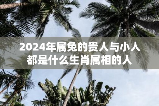 2025年属兔的贵人与小人都是什么生肖属相的人