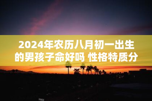 2025年农历八月初一出生的男孩子命好吗 性格特质分析
