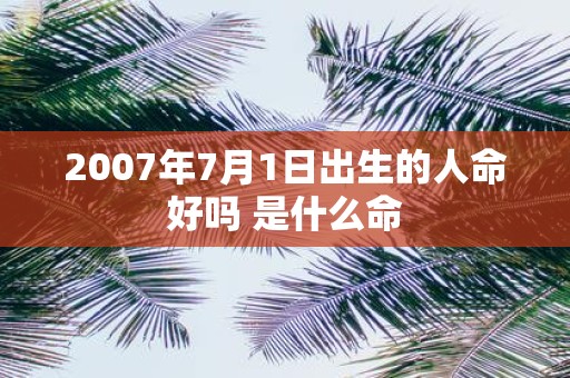 2007年7月1日出生的人命好吗 是什么命