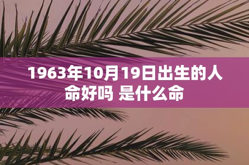 1963年10月19日出生的人命好吗 是什么命