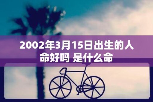 2002年3月15日出生的人命好吗 是什么命