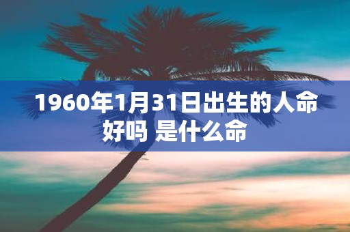 1960年1月31日出生的人命好吗 是什么命