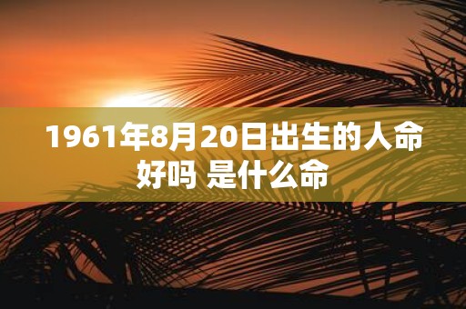 1961年8月20日出生的人命好吗 是什么命