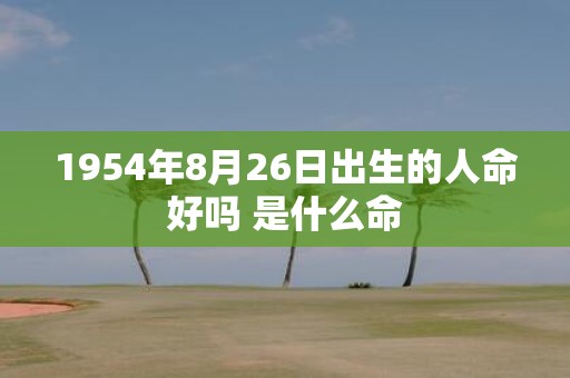 1954年8月26日出生的人命好吗 是什么命