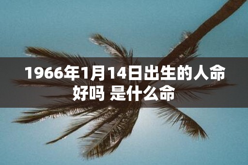 1966年1月14日出生的人命好吗 是什么命