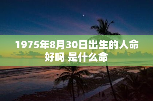 1975年8月30日出生的人命好吗 是什么命