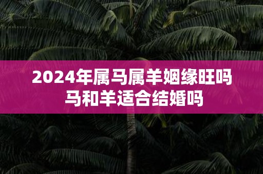 2025年属马属羊姻缘旺吗 马和羊适合结婚吗