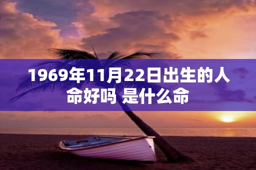 1969年11月22日出生的人命好吗 是什么命