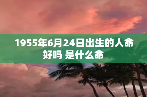 1955年6月24日出生的人命好吗 是什么命