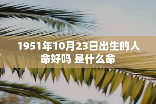 1951年10月23日出生的人命好吗 是什么命