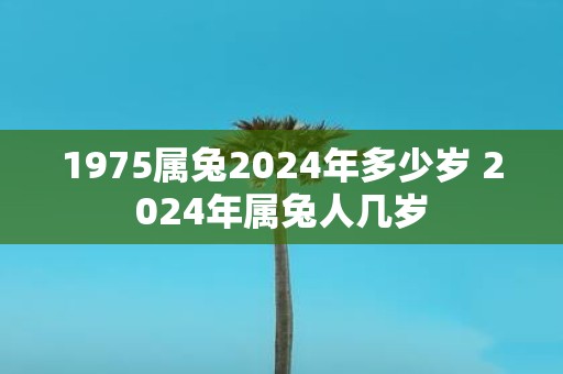 1975属兔2025年多少岁 2025年属兔人几岁