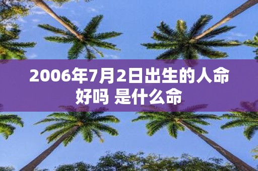 2006年7月2日出生的人命好吗 是什么命
