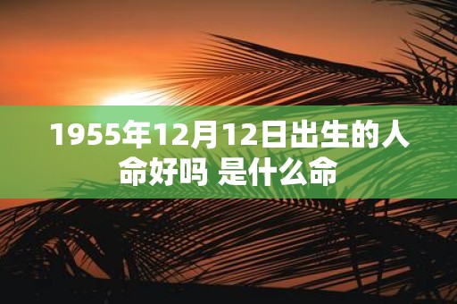 1955年12月12日出生的人命好吗 是什么命