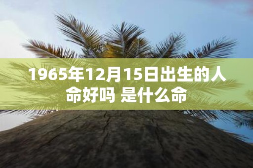 1965年12月15日出生的人命好吗 是什么命