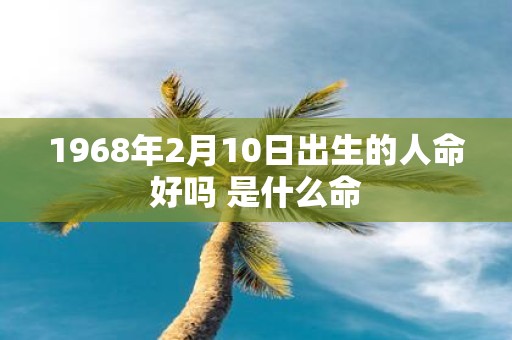 1968年2月10日出生的人命好吗 是什么命