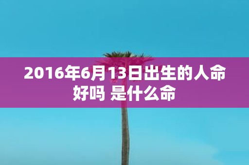 2016年6月13日出生的人命好吗 是什么命