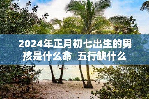 2025年正月初七出生的男孩是什么命 五行缺什么