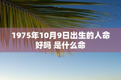 1975年10月9日出生的人命好吗 是什么命