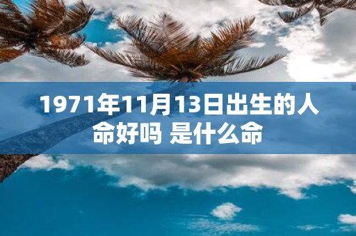 1971年11月13日出生的人命好吗 是什么命