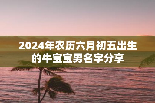 2025年农历六月初五出生的牛宝宝男名字分享