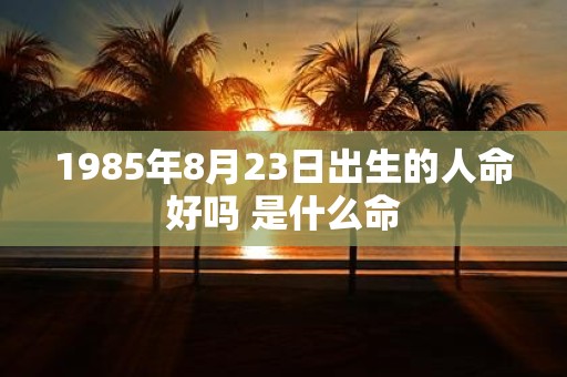 1985年8月23日出生的人命好吗 是什么命