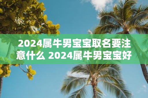 2025属牛男宝宝取名要注意什么 2025属牛男宝宝好听的名字