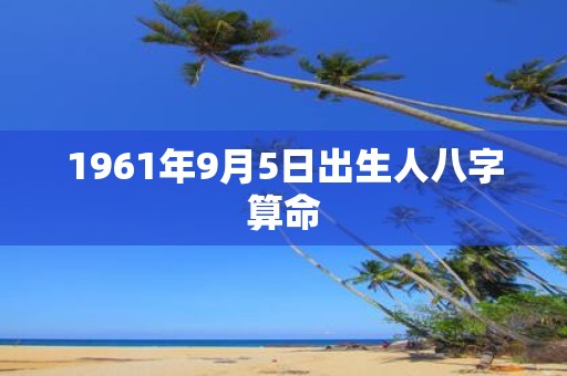 1961年9月5日出生人八字算命