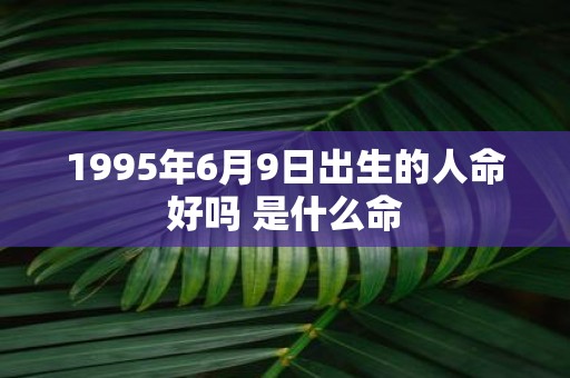 1995年6月9日出生的人命好吗 是什么命