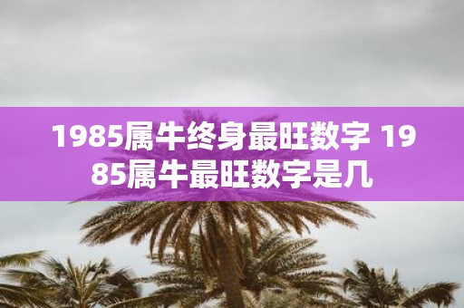 1985属牛终身最旺数字 1985属牛最旺数字是几