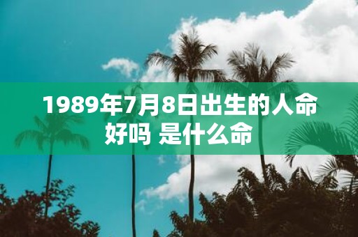 1989年7月8日出生的人命好吗 是什么命