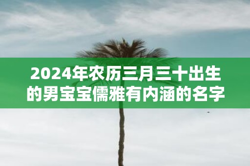 2025年农历三月三十出生的男宝宝儒雅有内涵的名字推荐
