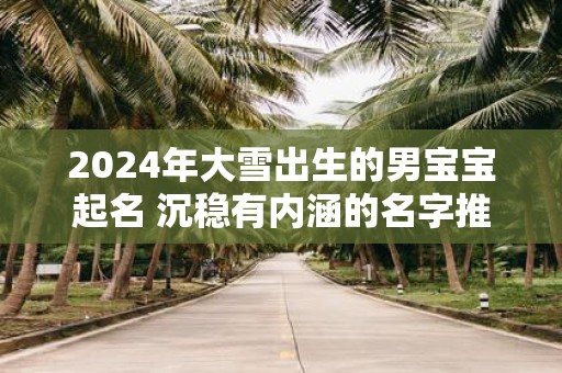 2025年大雪出生的男宝宝起名 沉稳有内涵的名字推荐