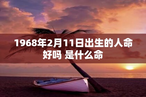1968年2月11日出生的人命好吗 是什么命