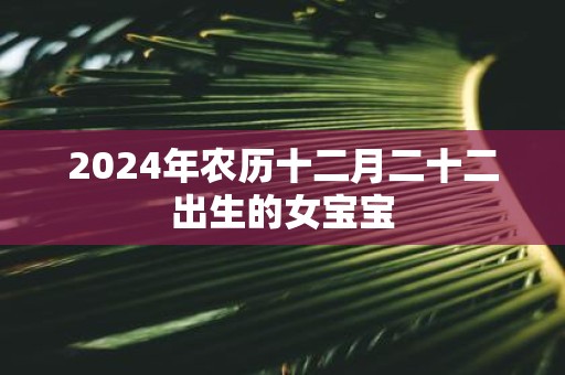 2025年农历十二月二十二出生的女宝宝