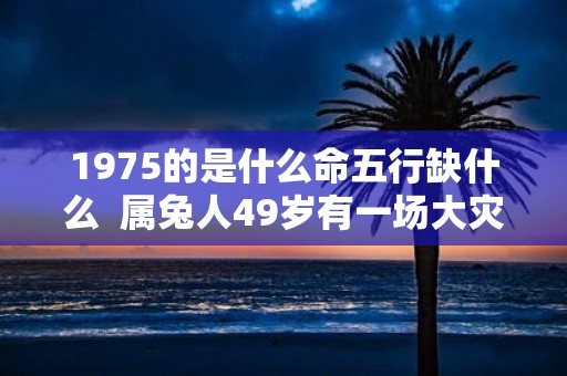 1975的是什么命五行缺什么 属兔人49岁有一场大灾难