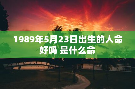 1989年5月23日出生的人命好吗 是什么命