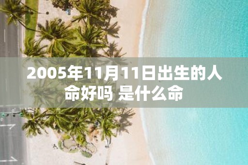 2005年11月11日出生的人命好吗 是什么命