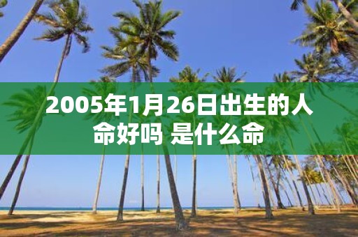 2005年1月26日出生的人命好吗 是什么命
