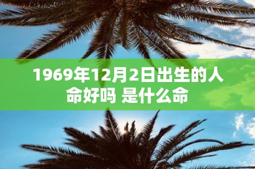 1969年12月2日出生的人命好吗 是什么命