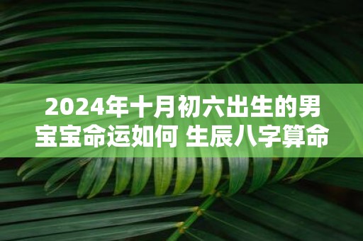 2025年十月初六出生的男宝宝命运如何 生辰八字算命