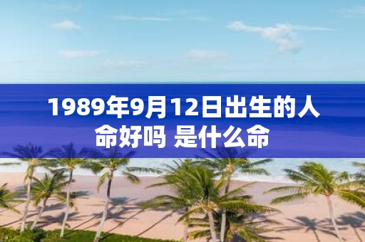 1989年9月12日出生的人命好吗 是什么命