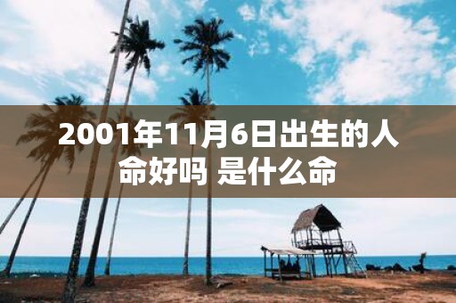 2001年11月6日出生的人命好吗 是什么命