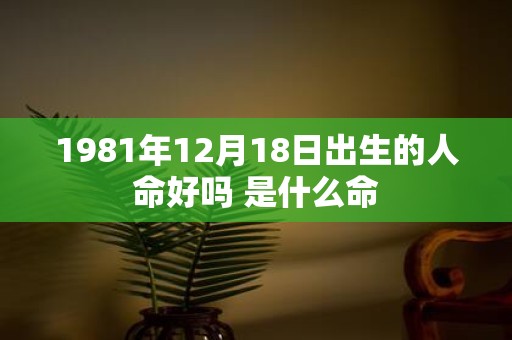 1981年12月18日出生的人命好吗 是什么命