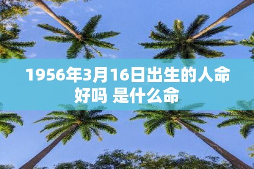 1956年3月16日出生的人命好吗 是什么命