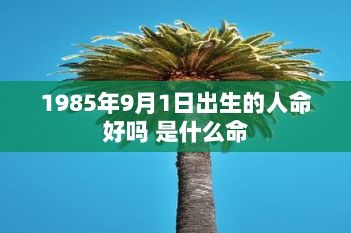 1985年9月1日出生的人命好吗 是什么命