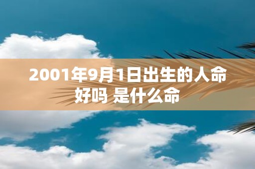 2001年9月1日出生的人命好吗 是什么命